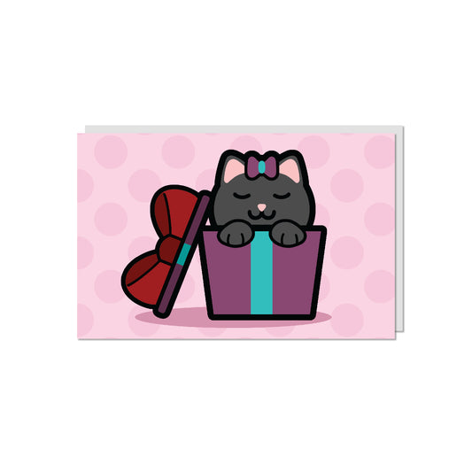 Cat in a Box