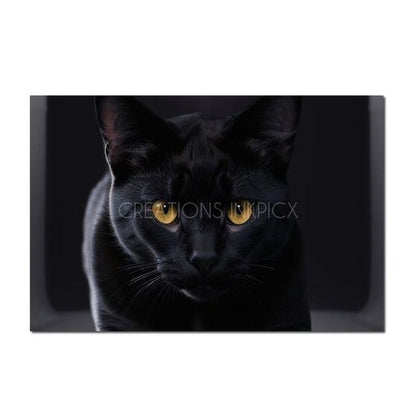 Black Cat
